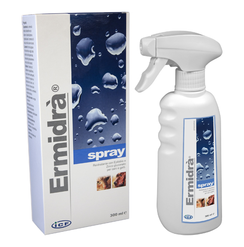 ERMIDRA' SPRAY 300 ML - farmanauta.it