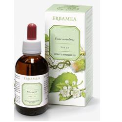 GINKGO BILOBA FOGLIE ESTRATTO IDROALCOLICO 50 ML - farmanauta.it