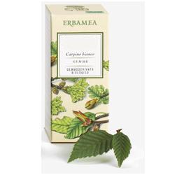 FICUS CARICA GEMME GEMMODERIVATO - farmanauta.it