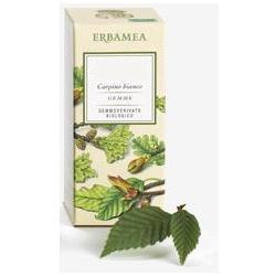 RIBES NIGRUM GEMME GEMMODERIVATO BIO 50 ML - farmanauta.it