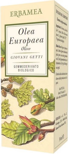 OLEA EUROPEA OLIVO BIO 50 ML - farmanauta.it