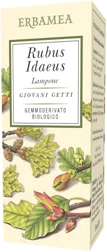 RUBUS IDAEUS LAMPONE BIO 50 ML - farmanauta.it