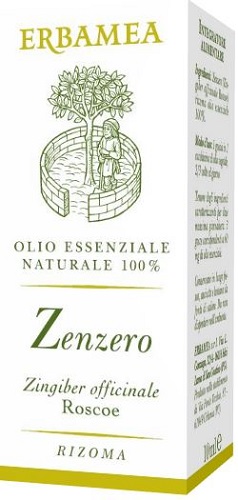 ZENZERO 10 ML - farmanauta.it