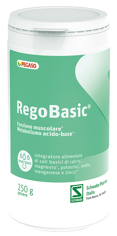 REGOBASIC POLVERE 250 G - farmanauta.it