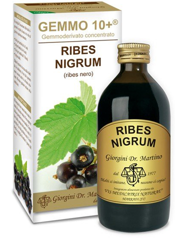 GEMMO 10+ RIBES NERO 200 ML LIQUIDO ANALCOLICO - farmanauta.it