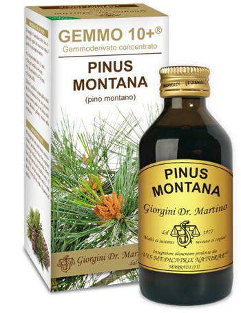 GEMMO 10+ PINO MONTANO 100 ML LIQUIDO ANALCOLICO - farmanauta.it
