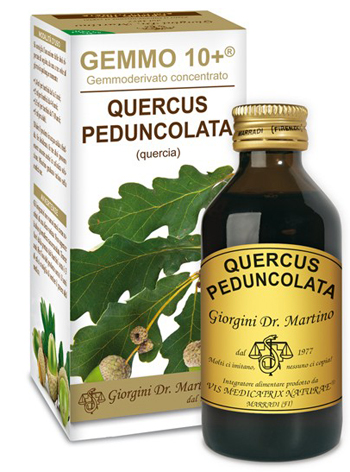 GEMMO 10+ QUERCIA 100 ML LIQUIDO ANALCOLICO - farmanauta.it