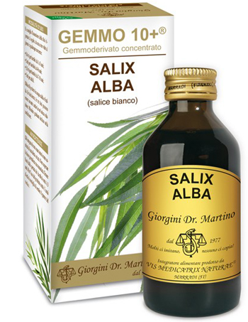 GEMMO 10+ SALICE BIANCO 100 ML LIQUIDO ANALCOLICO - farmanauta.it