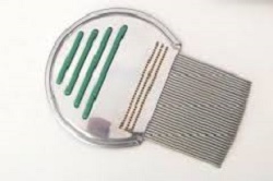 PETTINE ACCIAIO PER RIMOZIONE PIDOCCHI - farmanauta.it