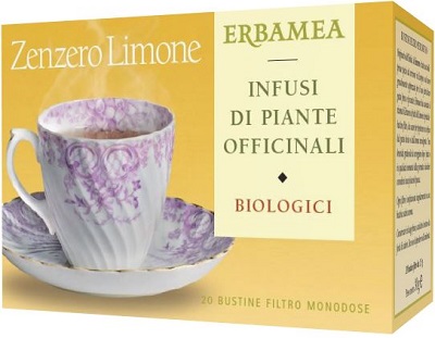 ZENZERO/LIM BIO 20 BUSTINE 30 G - farmanauta.it