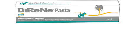 DIRENE PASTA 15 ML - farmanauta.it