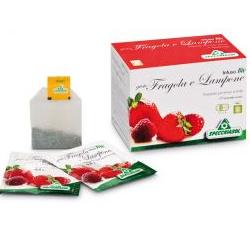 INFUSO FRAGOLA/LAMPONE 20 FILTRI - farmanauta.it