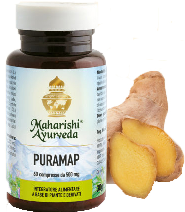 PURAMAP 60 COMPRESSE - farmanauta.it