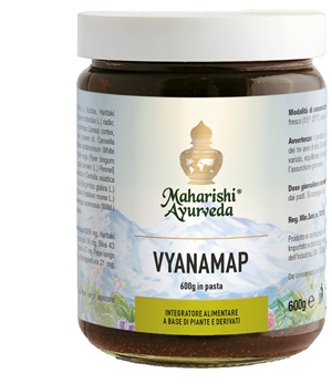 VYANAMAP PASTA 600 G - farmanauta.it