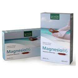 MAGNESIO B6 20 AMPOLLE BEVIBILI DA 15 ML - farmanauta.it