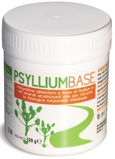 PSYLLIUM BASE POLVERE 120 G - farmanauta.it