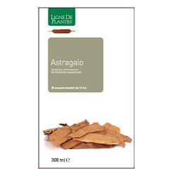 ASTRAGALO 20 AMPOLLE BEVIBILI DA 15 ML - farmanauta.it