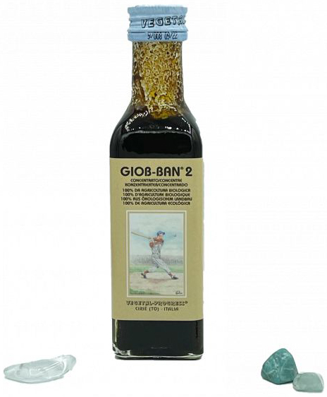 GIOB BAN 2 ART ESTRATTO CONCENTRATO BIOLOGICO 100 ML - farmanauta.it