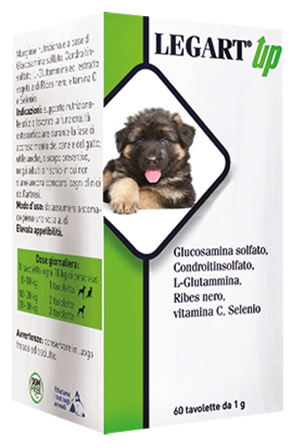 LEGART UP 60 COMPRESSE DA 1 G - farmanauta.it