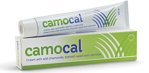 CREMA VEGETALE PER LE AFFEZIONI ANALI CAMOCAL 50 ML - farmanauta.it