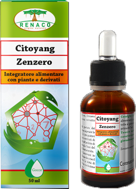 CITOYANG ZENZERO GOCCE FLACONCINO 50 ML - farmanauta.it
