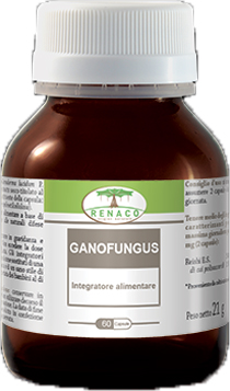GANOFUNGUS 60 CAPSULE FLACONE 24 G - farmanauta.it