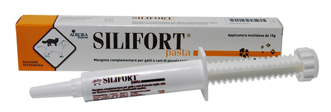 SILIFORT PASTA OS SIRINGA 15 G - farmanauta.it