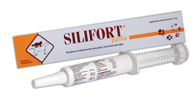 SILIFORT PASTA OS SIRINGA 30 G - farmanauta.it