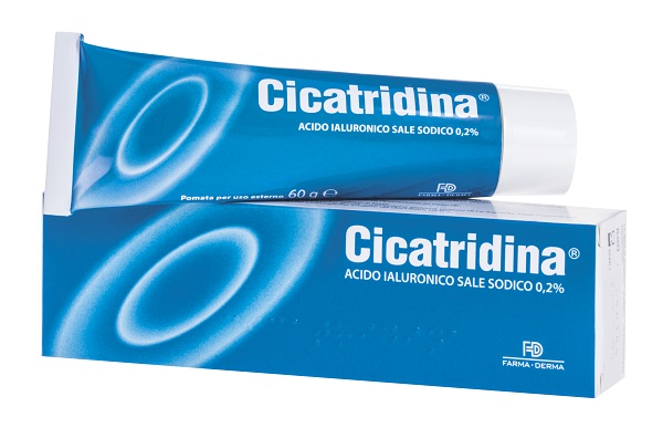 CICATRIDINA POMATA 60 G - farmanauta.it
