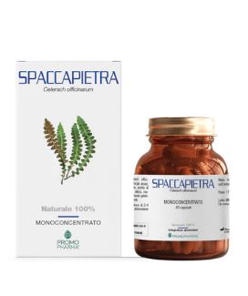 SPACCAPIETRA 50 CAPSULE - farmanauta.it