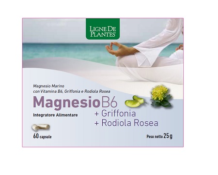 MAGNESIO B6 + GRIFFONIA + RODIOLA 60 CAPSULE - farmanauta.it