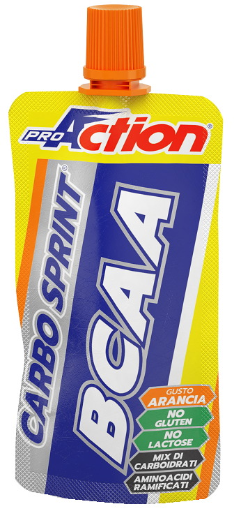 PROACTION CARBO SPRINT ENDURANCE BCAA ALL'ARANCIA 50 ML - farmanauta.it