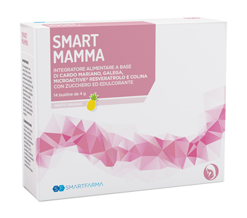 SMART MAMMA 14 BUSTINE GUSTO ANANAS - farmanauta.it