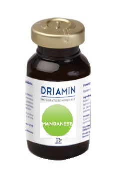 DRIAMIN MANGANESE 15 ML - farmanauta.it