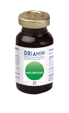 DRIAMIN MOLIBDENO 15 ML - farmanauta.it