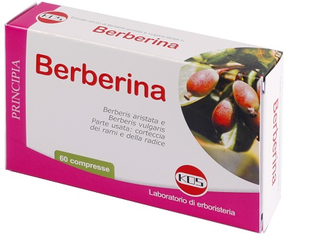 BERBERINA DA BERBERIS VULGARIS ESTRATTO SECCO 60 COMPRESSE - farmanauta.it