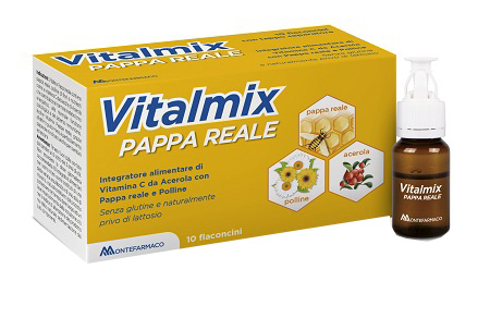 VITALMIX PAPPA REALE 10FLACONCINI X10 ML S/GL - farmanauta.it
