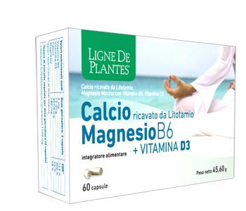 CALCIO + MAGNESIO B6 + VITAMINA D3 60 CAPSULE - farmanauta.it