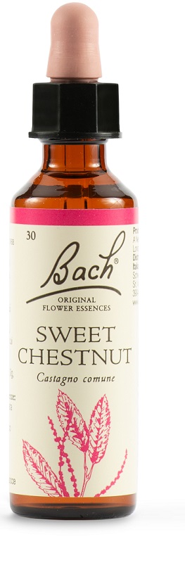 SWEET CHEST BACH ORIG 20 ML - farmanauta.it