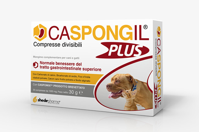 CASPONGIL PLUS 30 COMPRESSE - farmanauta.it