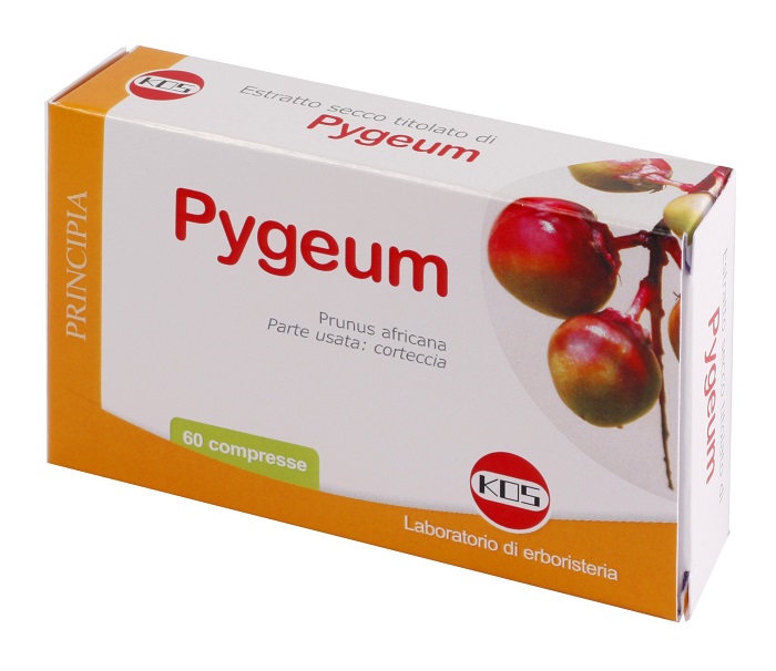 PYGEUM ESTRATTO SECCO 60 COMPRESSE - farmanauta.it