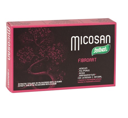 MICOSAN FIBROART 40 CAPSULE - farmanauta.it
