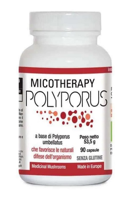 MICOTHERAPY POLYPORUS 90 CAPSULE - farmanauta.it