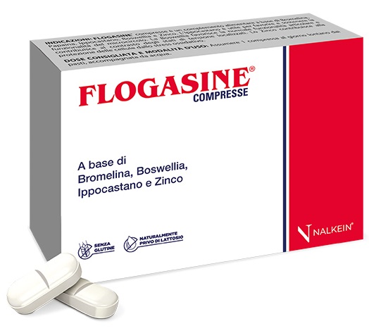 FLOGASINE 20 COMPRESSE - farmanauta.it