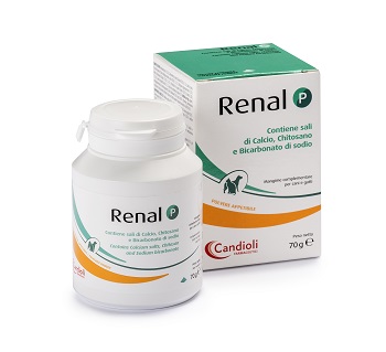 RENAL P MANGIME COMPLEMENTARE PER CANI E GATTI BARATTOLO 70 G - farmanauta.it