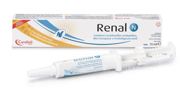 RENAL N PASTA SIRINGA DOSATRICE 15 ML - farmanauta.it