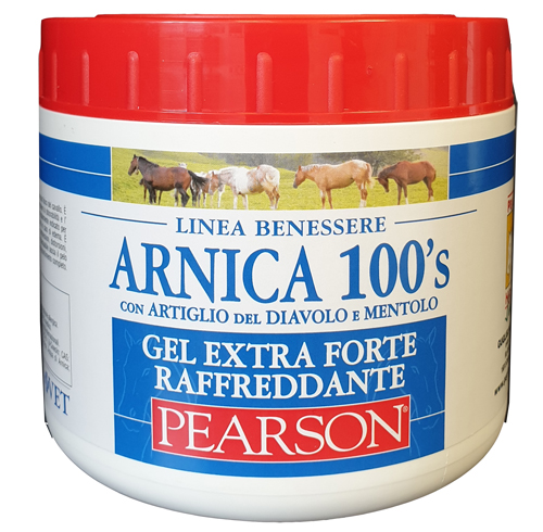 ARNICA 100'S EXTRA FORTE 500 ML - farmanauta.it
