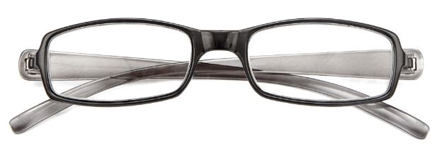 OCCHIALE DA LETTURA PREMONTATO TWINS SILVER DOUBLE +1,50 - farmanauta.it