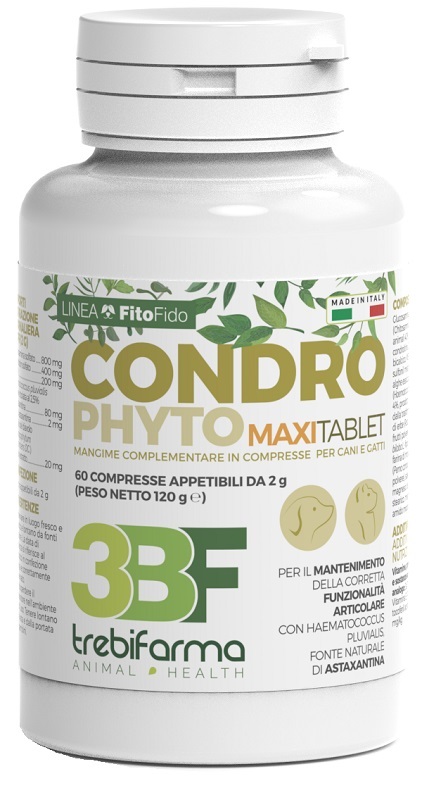 CONDROPHYTO 60 COMPRESSE 2 G - farmanauta.it