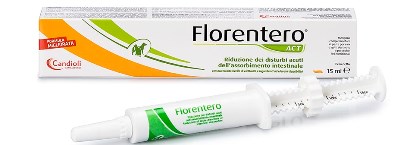 FLORENTERO ACT SIRINGA DOSATRICE 15 ML PASTA PER CANI E GATTI - farmanauta.it